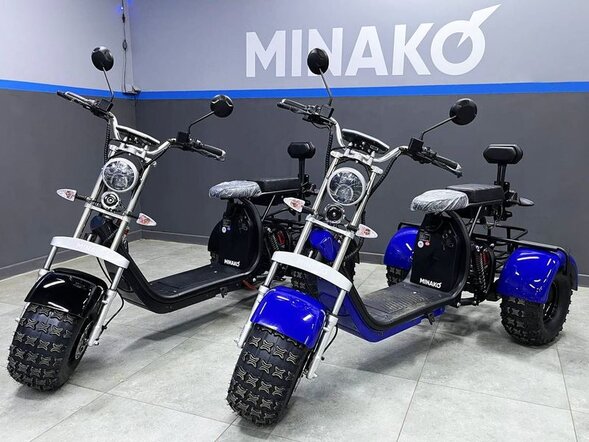 Трехколесный электроскутер Minako Rex